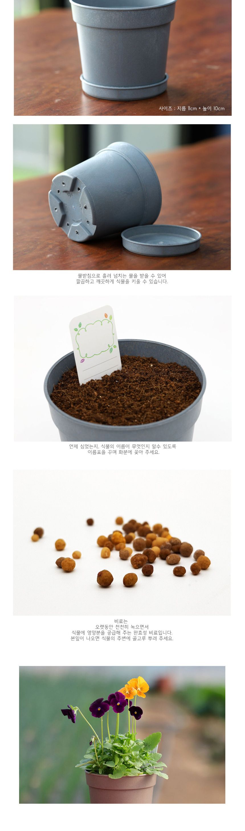 미니 꽃화분 비올라 화원 DIY 패키지/꽃키우기/꽃화분/식물화분/재배세트/식물키우기/가정용식물/어린이화