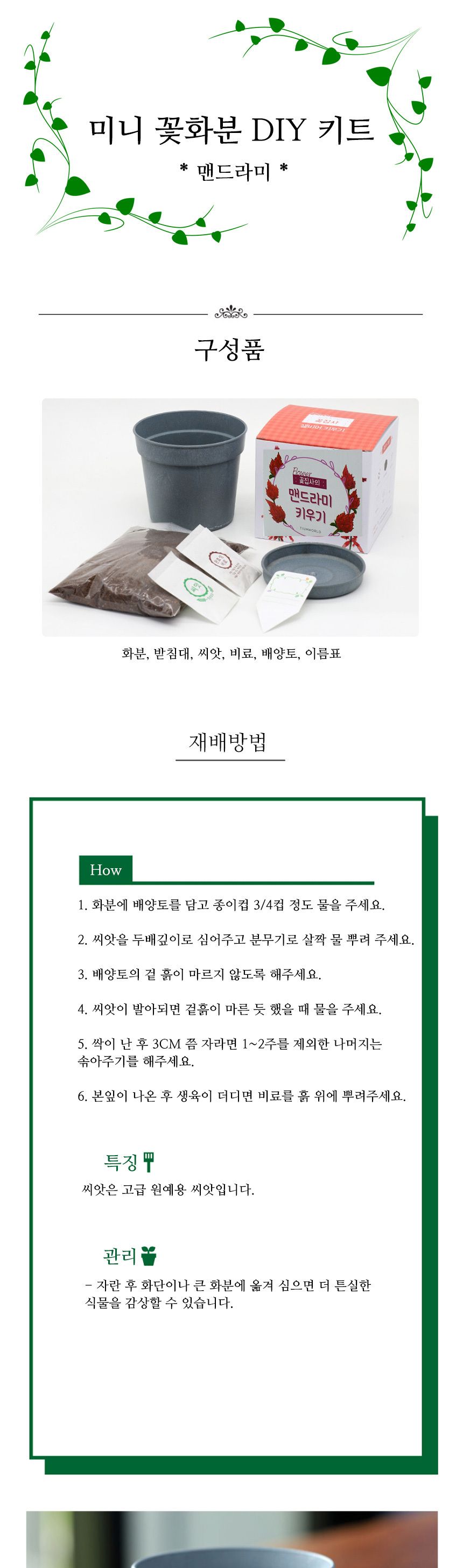 미니 꽃화분 맨드라미 화원 DIY 패키지/재배키트/식물키트/식물키우기/미니화분/화분세트/사무실식물/씨앗
