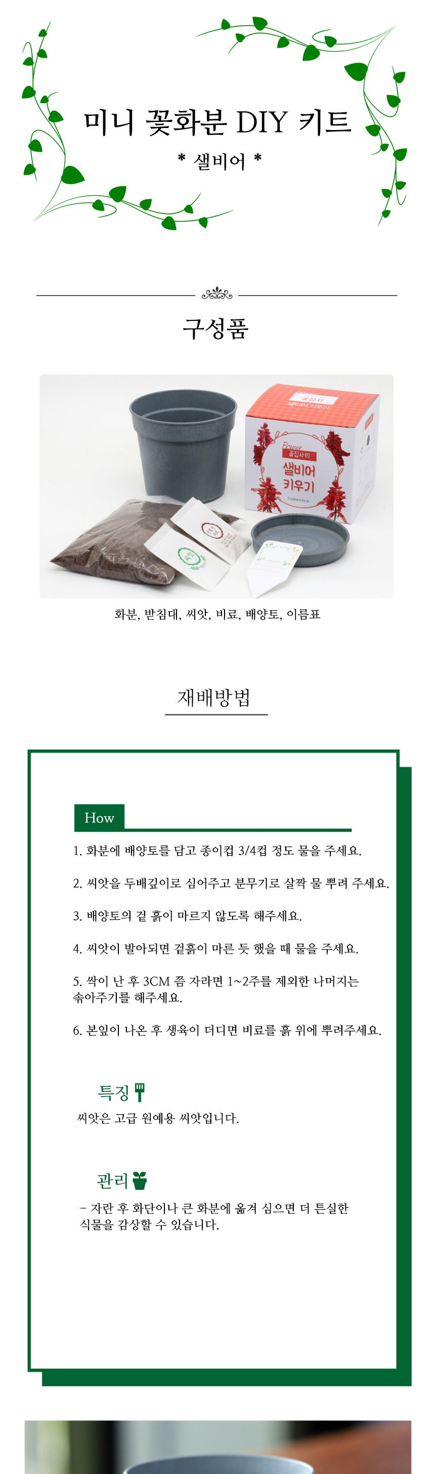 미니 꽃화분 사루비아 화원 DIY 패키지/꽃키우기/꽃화분/식물화분/재배세트/식물키우기/가정용식물/어린이