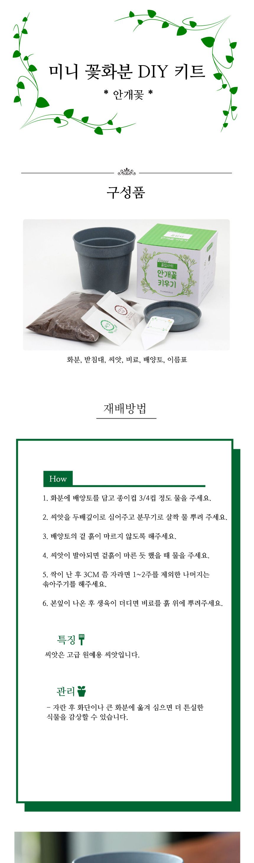 미니 꽃화분 안개꽃 화원 DIY 패키지/꽃키우기/꽃화분/식물화분/재배세트/식물키우기/가정용식물/어린이화