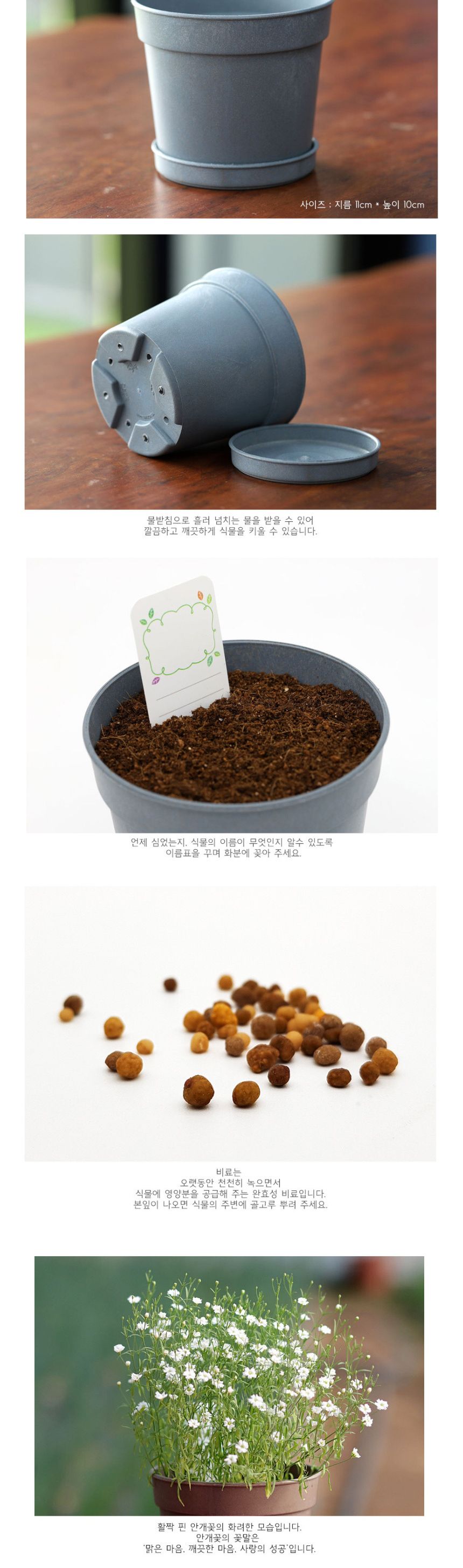 미니 꽃화분 안개꽃 화원 DIY 패키지/꽃키우기/꽃화분/식물화분/재배세트/식물키우기/가정용식물/어린이화