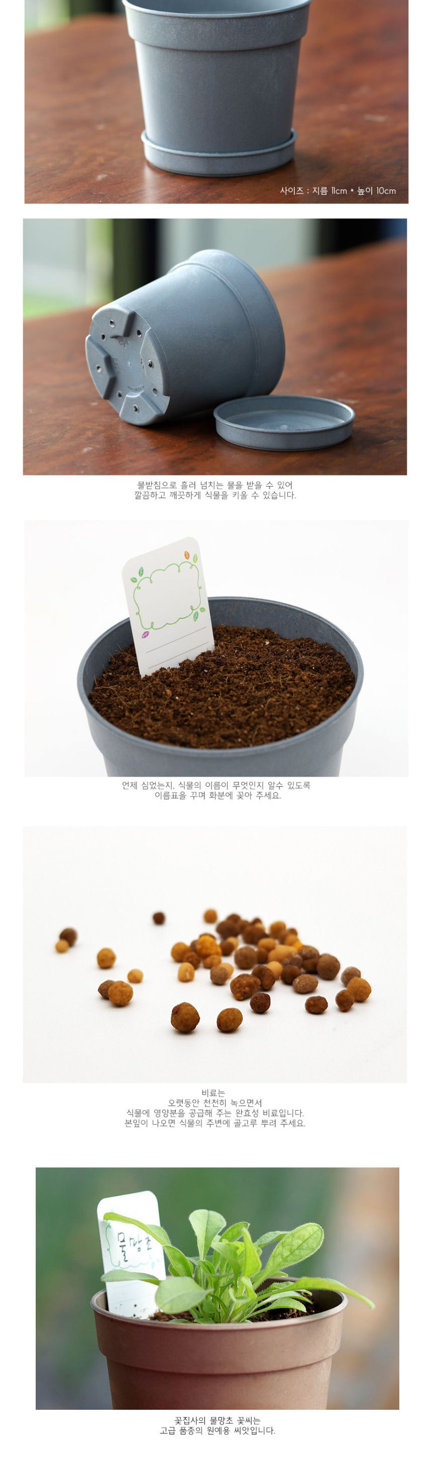 미니 꽃화분 물망초 화원 DIY 패키지/꽃키우기/꽃화분/식물화분/재배세트/식물키우기/가정용식물/어린이화