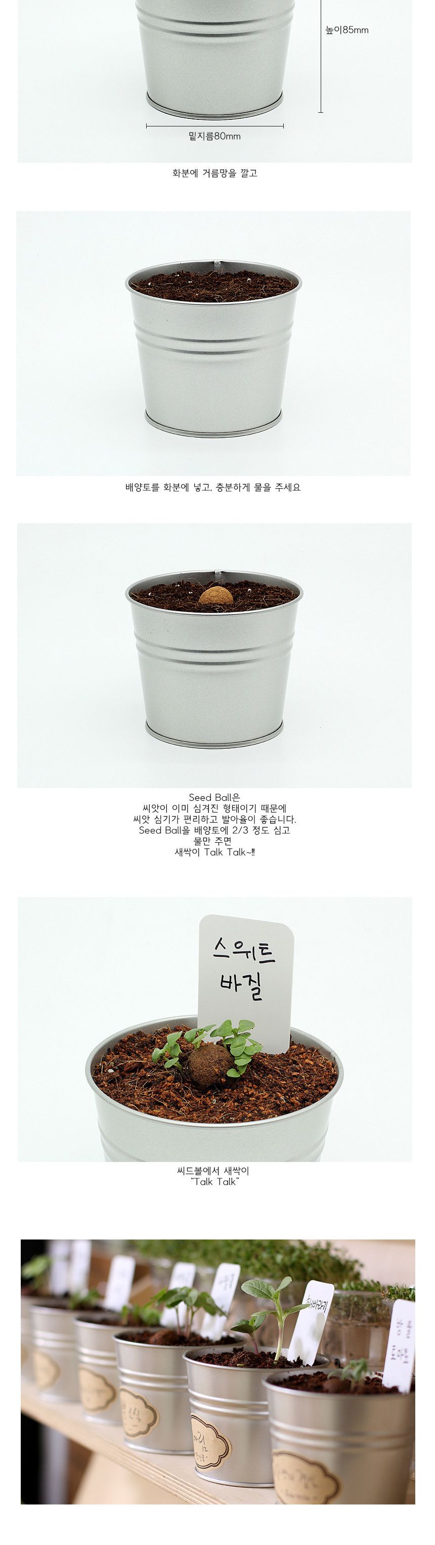 식물인테리어 선반 창가 장식 바질 메탈화분 세트/미니화분/식물인테리어/화분/거실화분/인테리어화분/거실