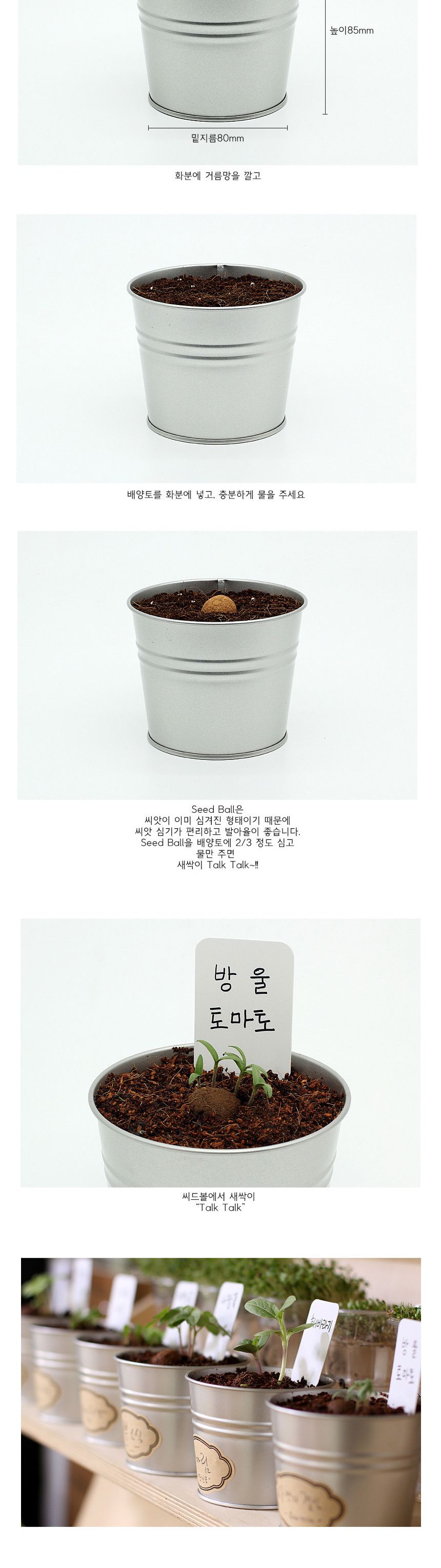 식물인테리어 선반 창가 장식 방울토마토 화분 세트/미니화분/식물인테리어/화분/거실화분/인테리어화분/거