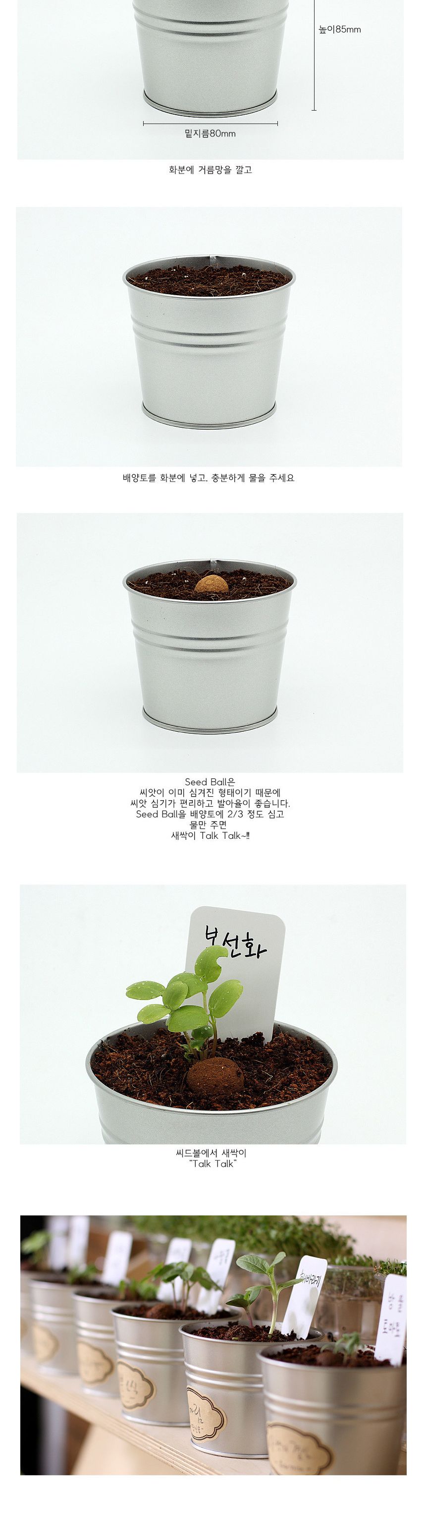 식물인테리어 선반 창가 장식 봉선화 메탈화분 세트/미니화분/식물인테리어/화분/거실화분/인테리어화분/거