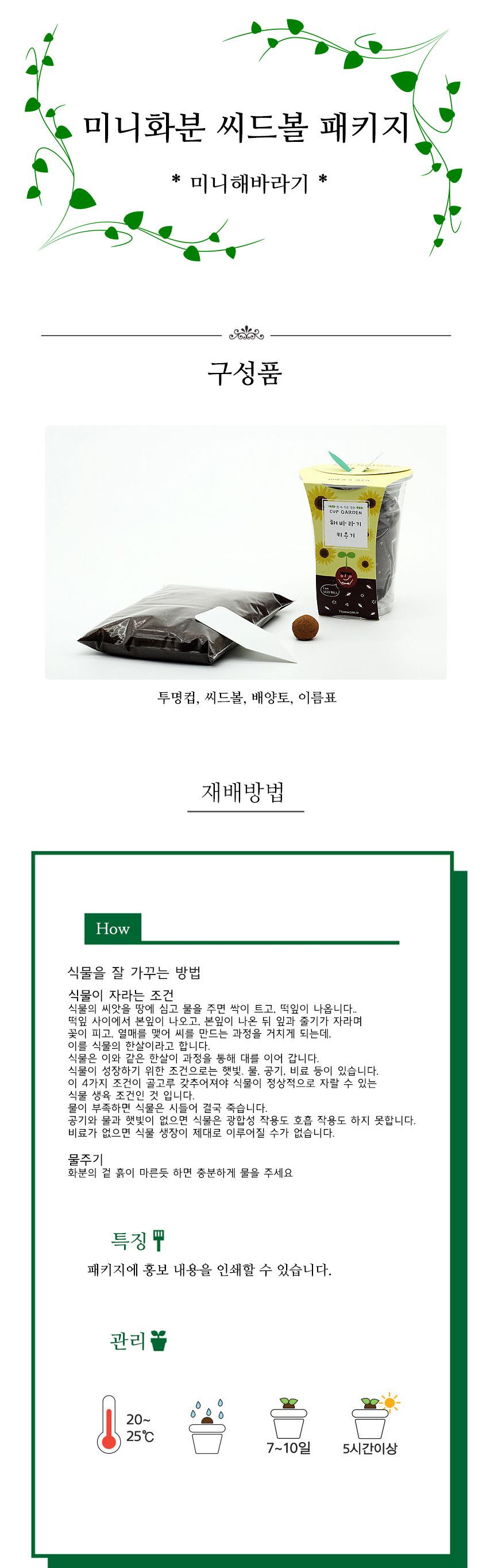 해바라기 씨앗심기 씨드볼 미니화분 흙 패키지/미니화분/식물인테리어/화분/거실화분/인테리어화분/거실화