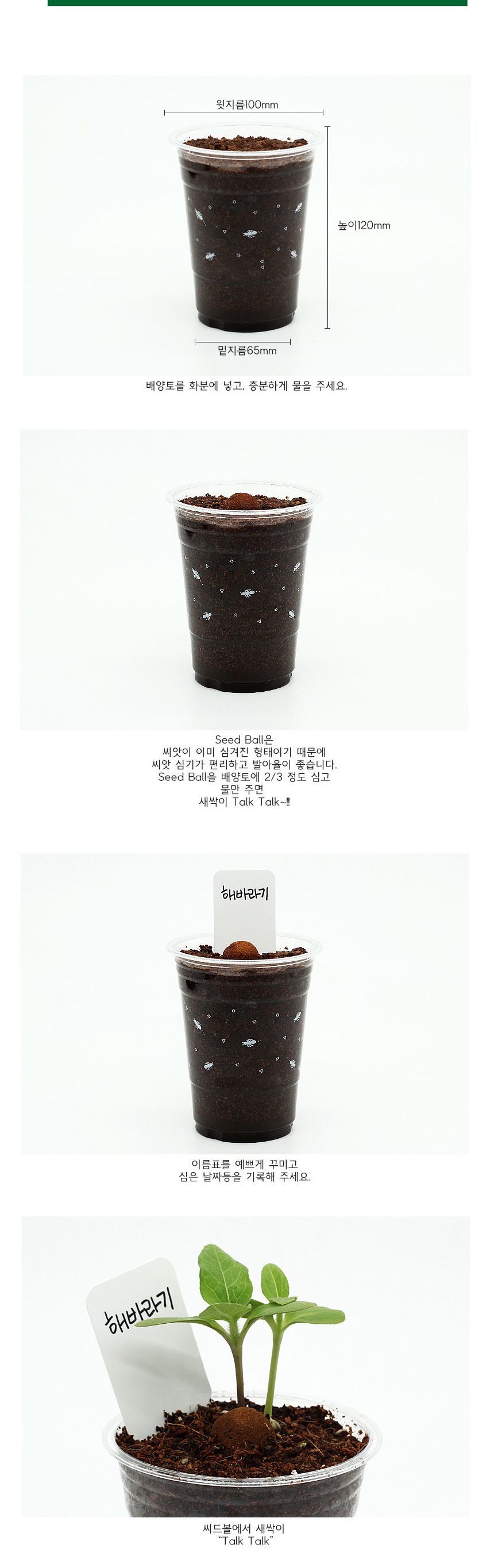 해바라기 씨앗심기 씨드볼 미니화분 흙 패키지/미니화분/식물인테리어/화분/거실화분/인테리어화분/거실화