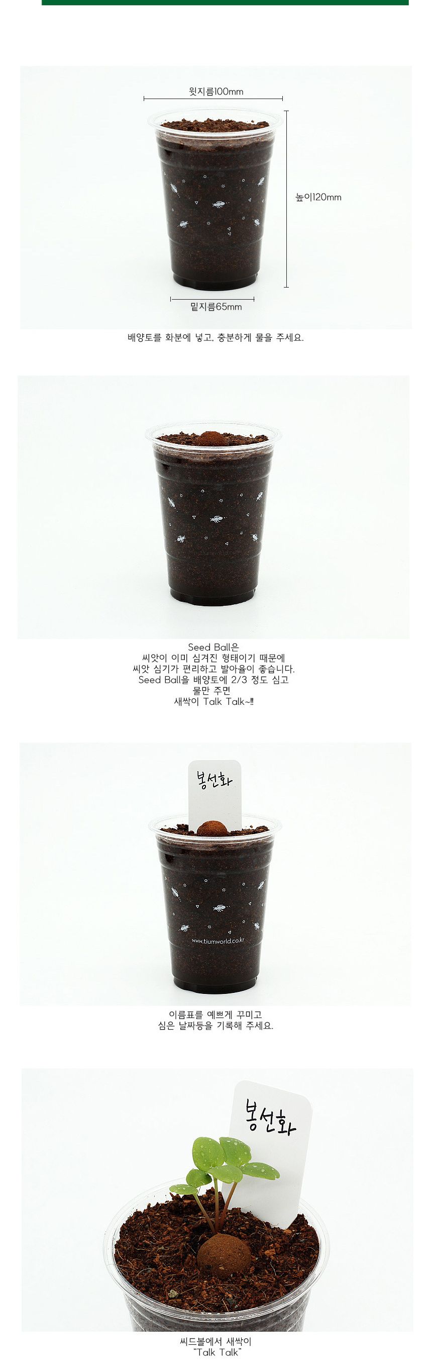 봉선화 씨앗심기 씨드볼 미니화분 흙 패키지/식물키우기/식물재배기/DIY키트/홈가드닝/취미키트/반려식물/