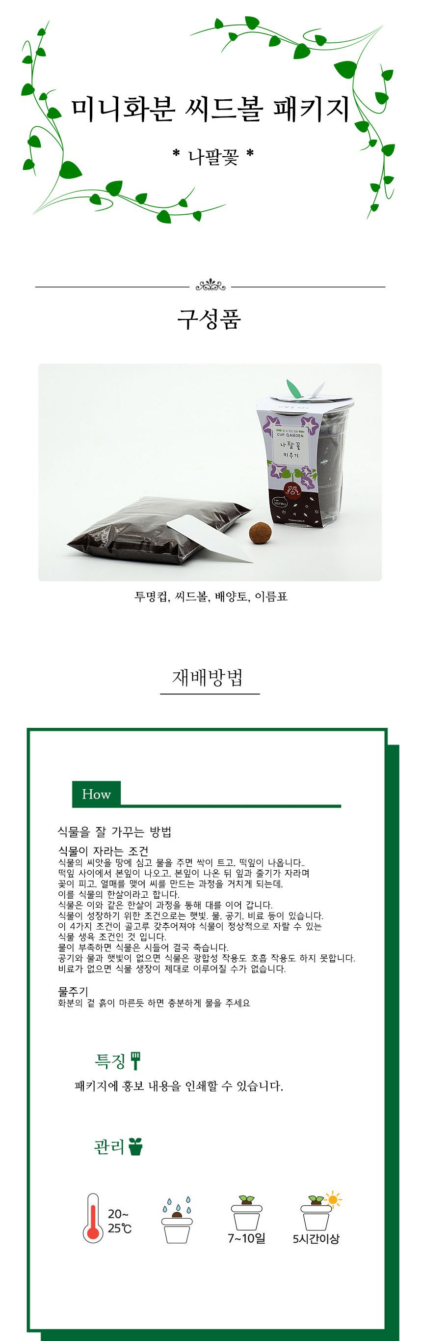 나팔꽃 씨앗심기 씨드볼 미니화분 흙 패키지/재배키트/식물키트/식물키우기/미니화분/화분세트/사무실식물/