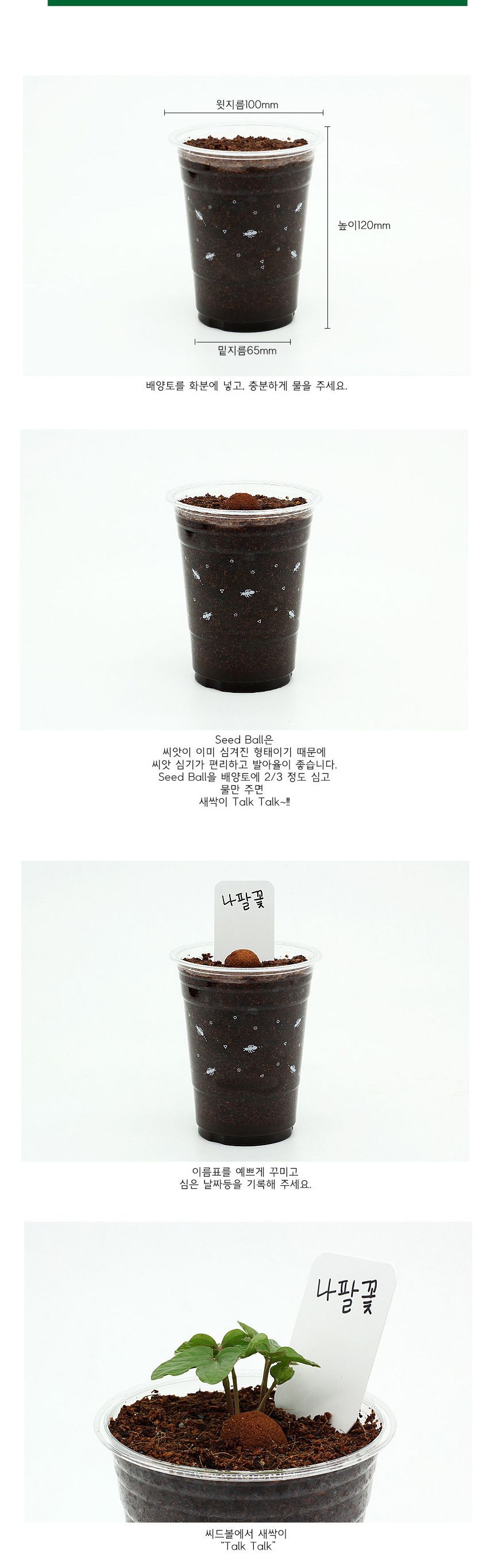 나팔꽃 씨앗심기 씨드볼 미니화분 흙 패키지/재배키트/식물키트/식물키우기/미니화분/화분세트/사무실식물/