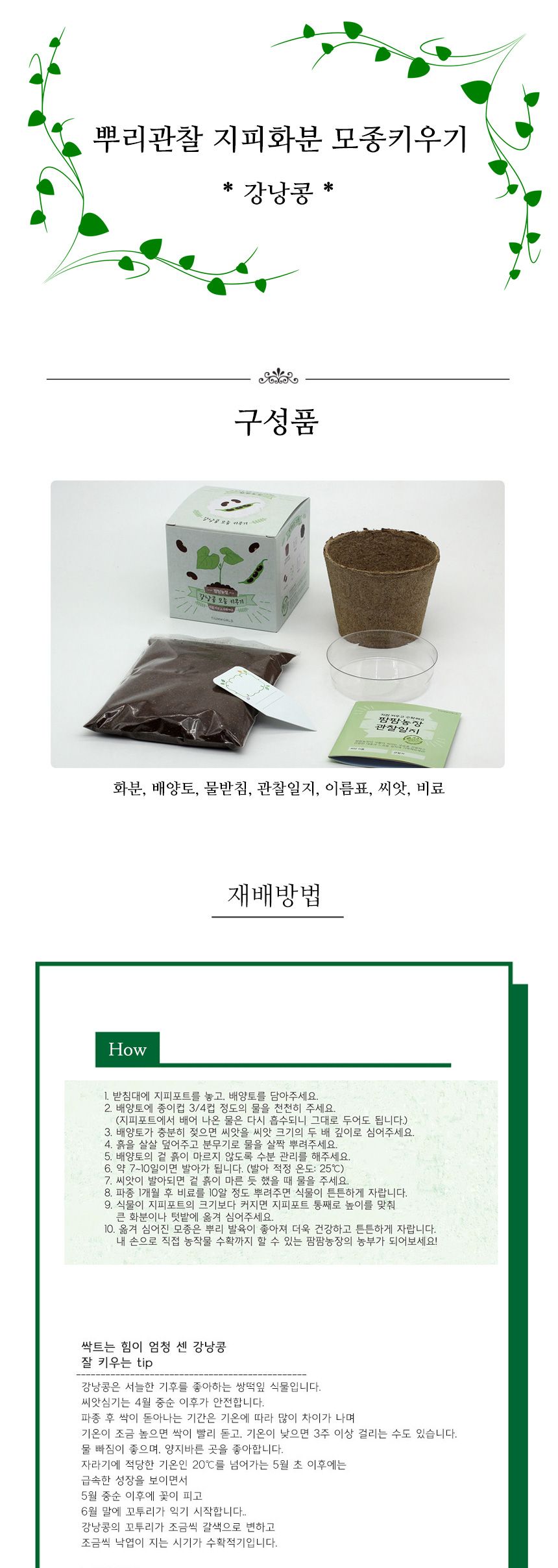 뿌리관찰 강낭콩씨앗 모종키우기 세트/미니화분/식물인테리어/화분/거실화분/인테리어화분/거실화분인테리