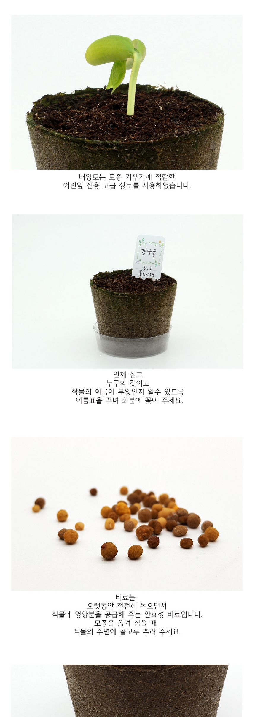뿌리관찰 강낭콩씨앗 모종키우기 세트/미니화분/식물인테리어/화분/거실화분/인테리어화분/거실화분인테리