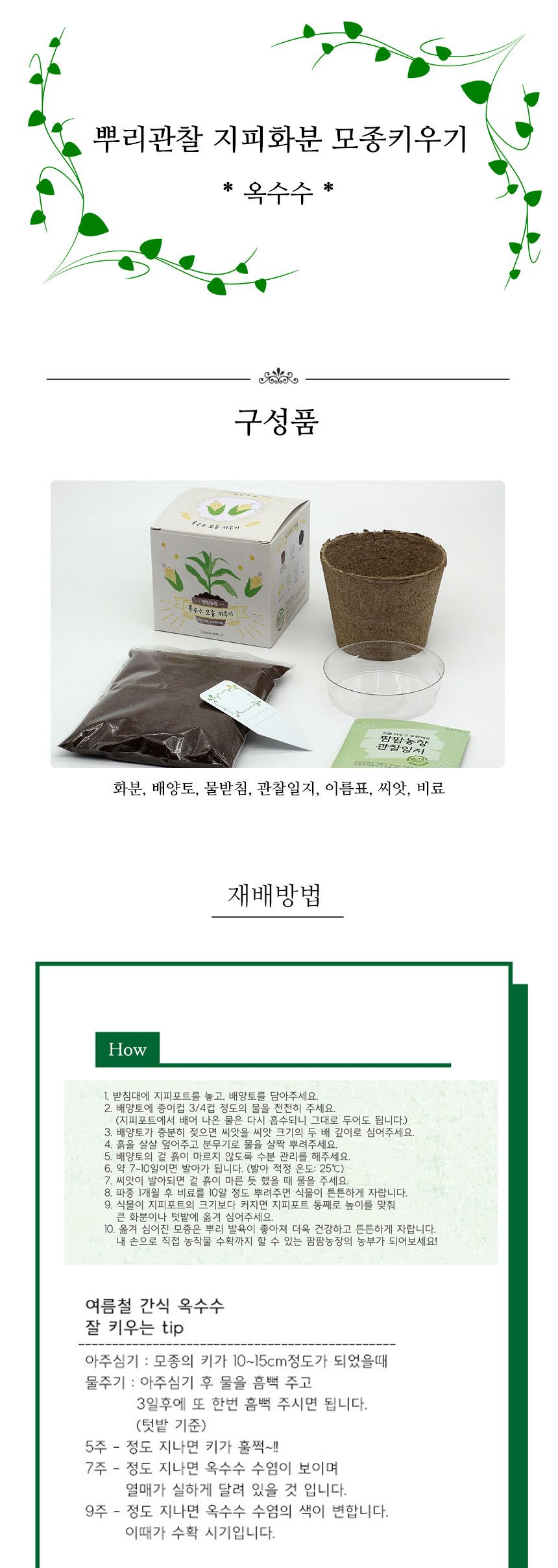 뿌리관찰 옥수수씨앗 모종키우기 세트/미니화분/식물인테리어/화분/거실화분/인테리어화분/거실화분인테리