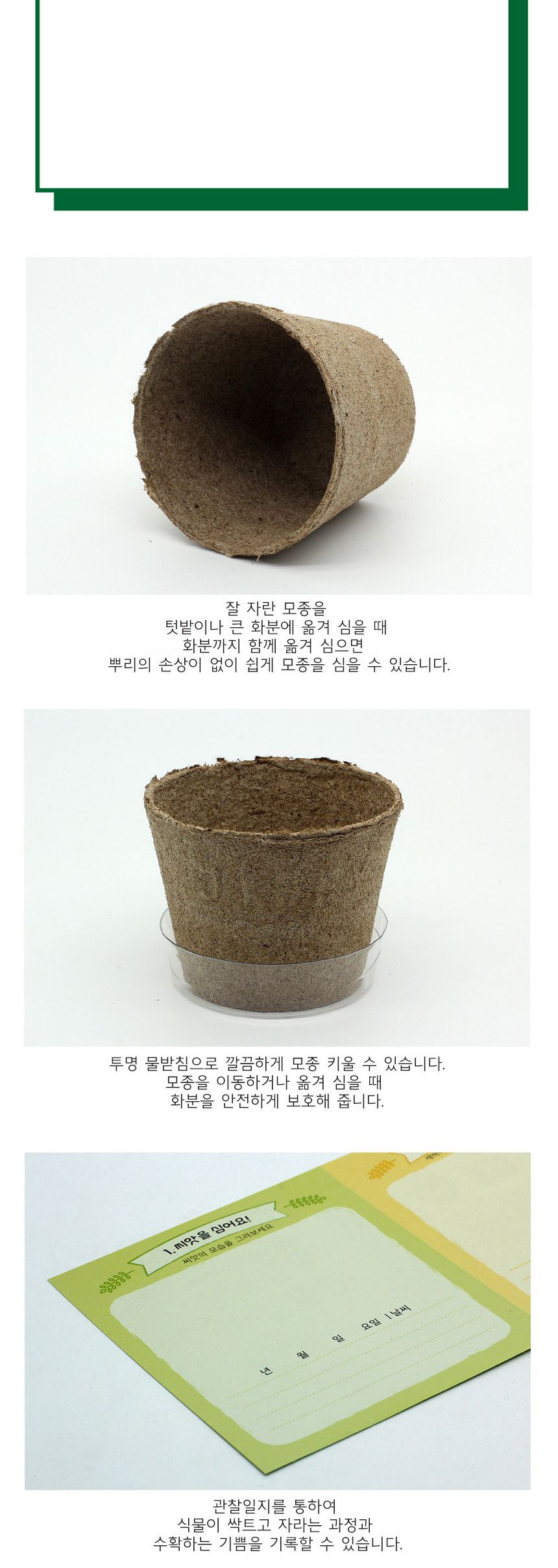 뿌리관찰 옥수수씨앗 모종키우기 세트/미니화분/식물인테리어/화분/거실화분/인테리어화분/거실화분인테리