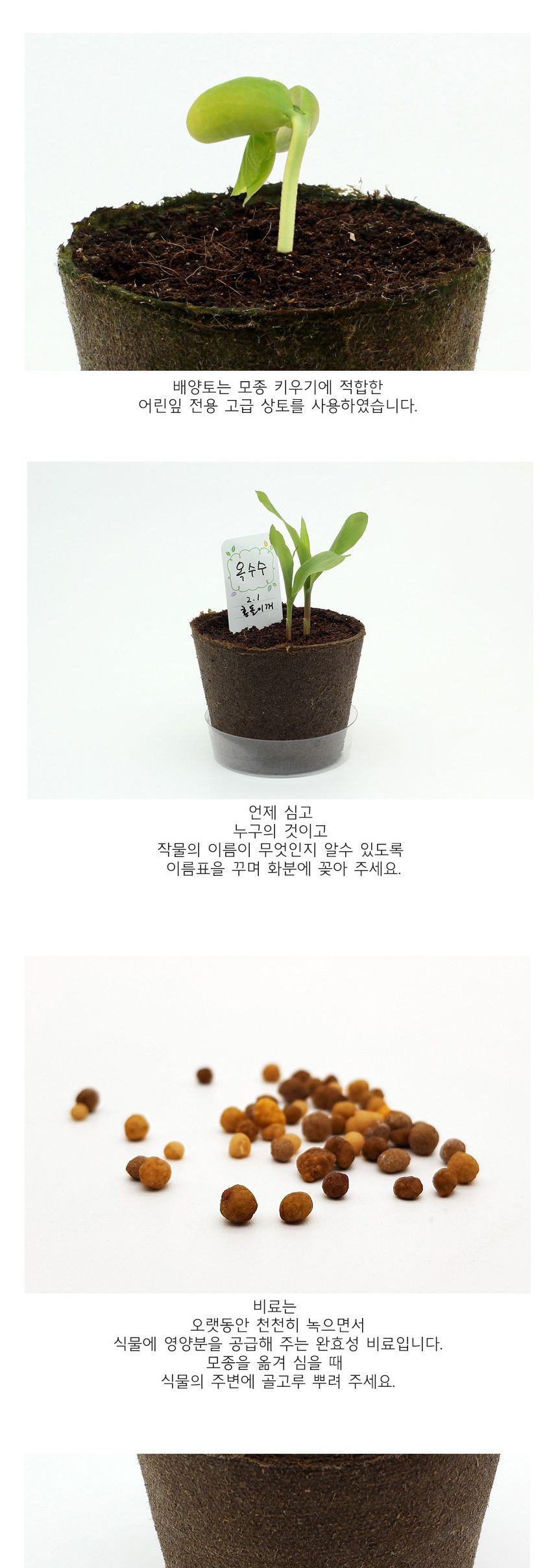 뿌리관찰 옥수수씨앗 모종키우기 세트/미니화분/식물인테리어/화분/거실화분/인테리어화분/거실화분인테리