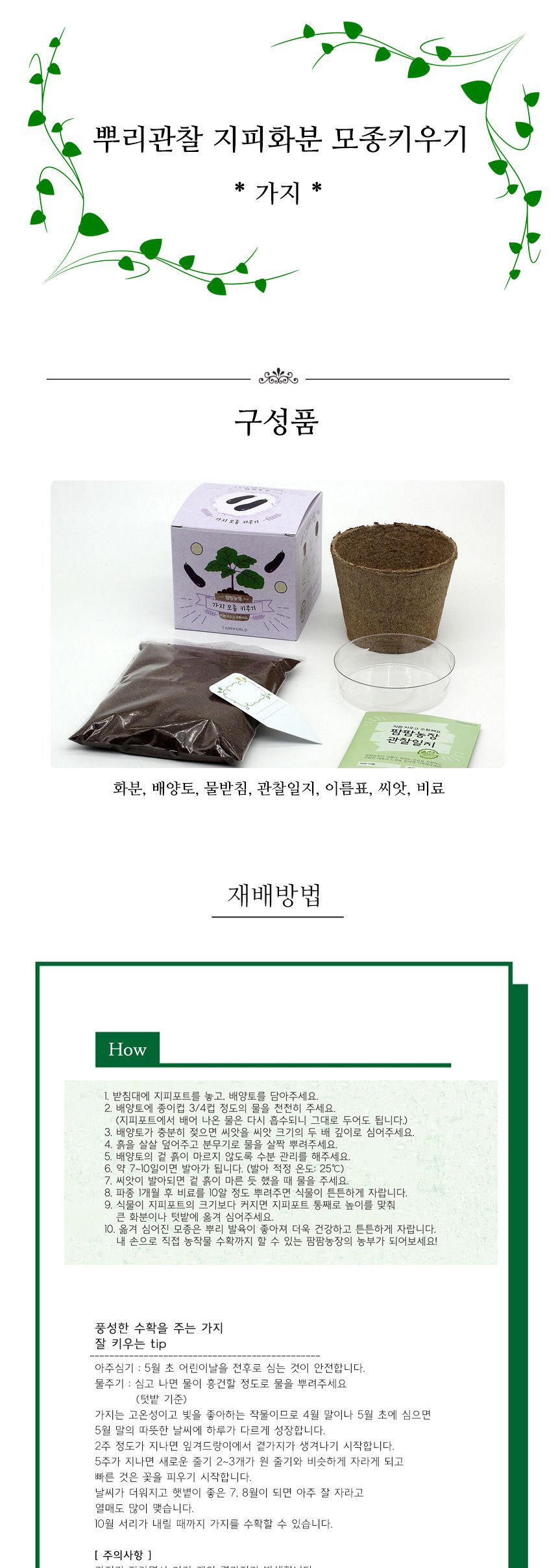 뿌리관찰 가지씨앗 모종키우기 세트/미니화분/식물인테리어/화분/거실화분/인테리어화분/거실화분인테리어/