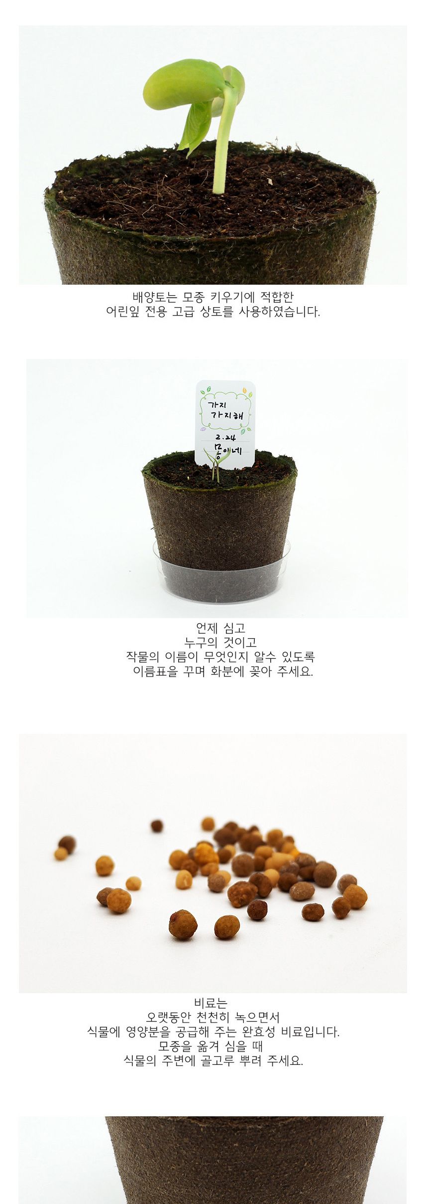 뿌리관찰 가지씨앗 모종키우기 세트/미니화분/식물인테리어/화분/거실화분/인테리어화분/거실화분인테리어/