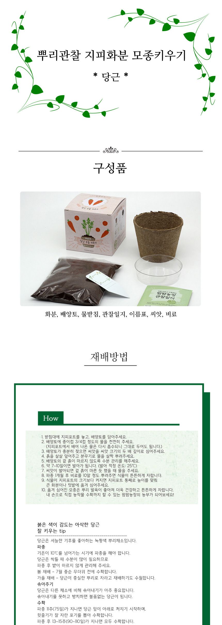 뿌리관찰 당근씨앗 모종키우기 세트/미니화분/식물인테리어/화분/거실화분/인테리어화분/거실화분인테리어/