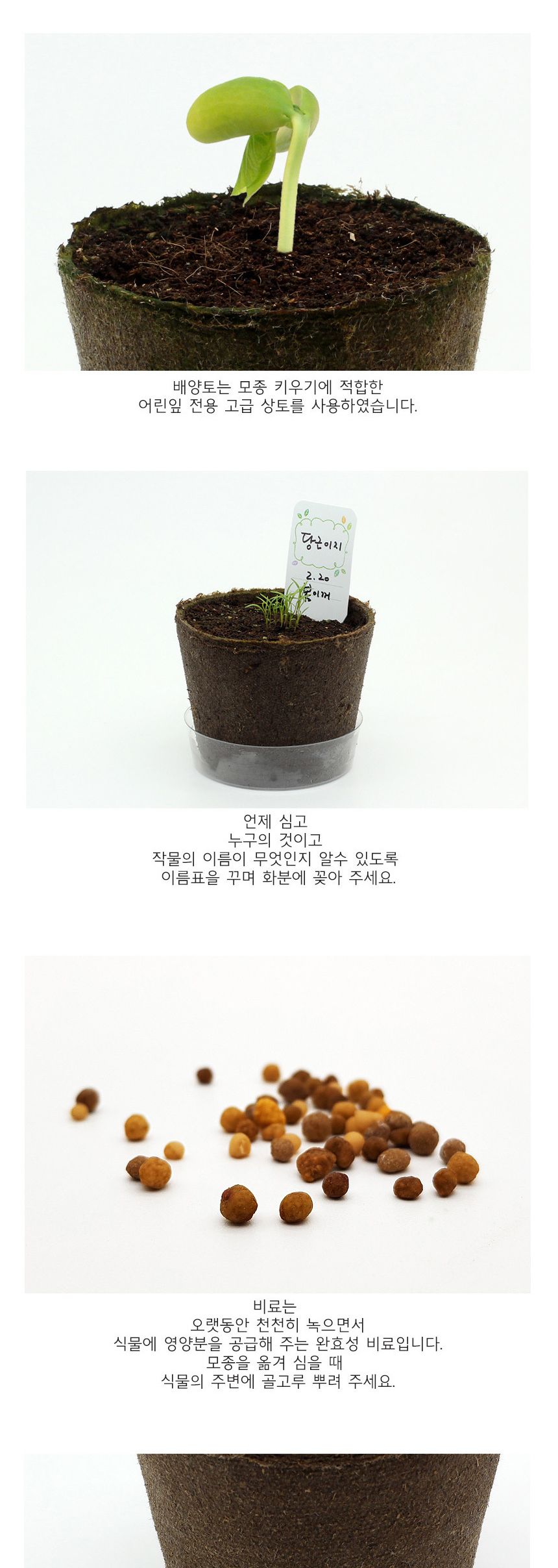 뿌리관찰 당근씨앗 모종키우기 세트/미니화분/식물인테리어/화분/거실화분/인테리어화분/거실화분인테리어/