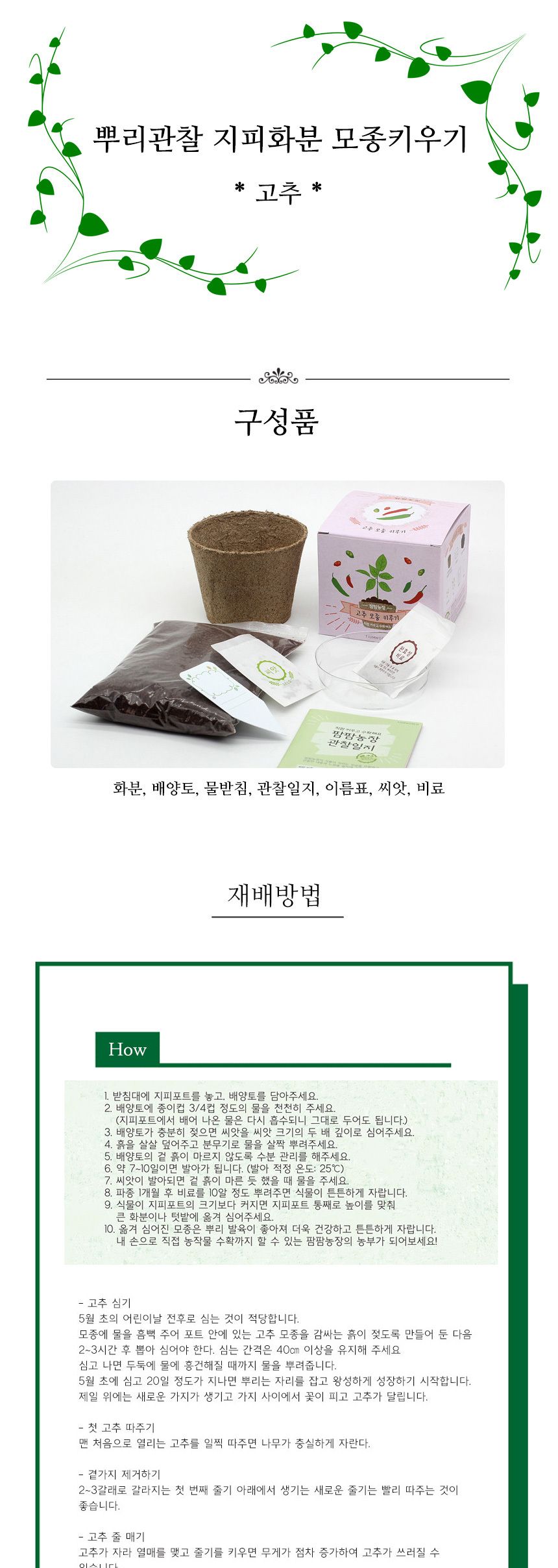 뿌리관찰 고추씨앗 모종키우기 세트/미니화분/식물인테리어/화분/거실화분/인테리어화분/거실화분인테리어/