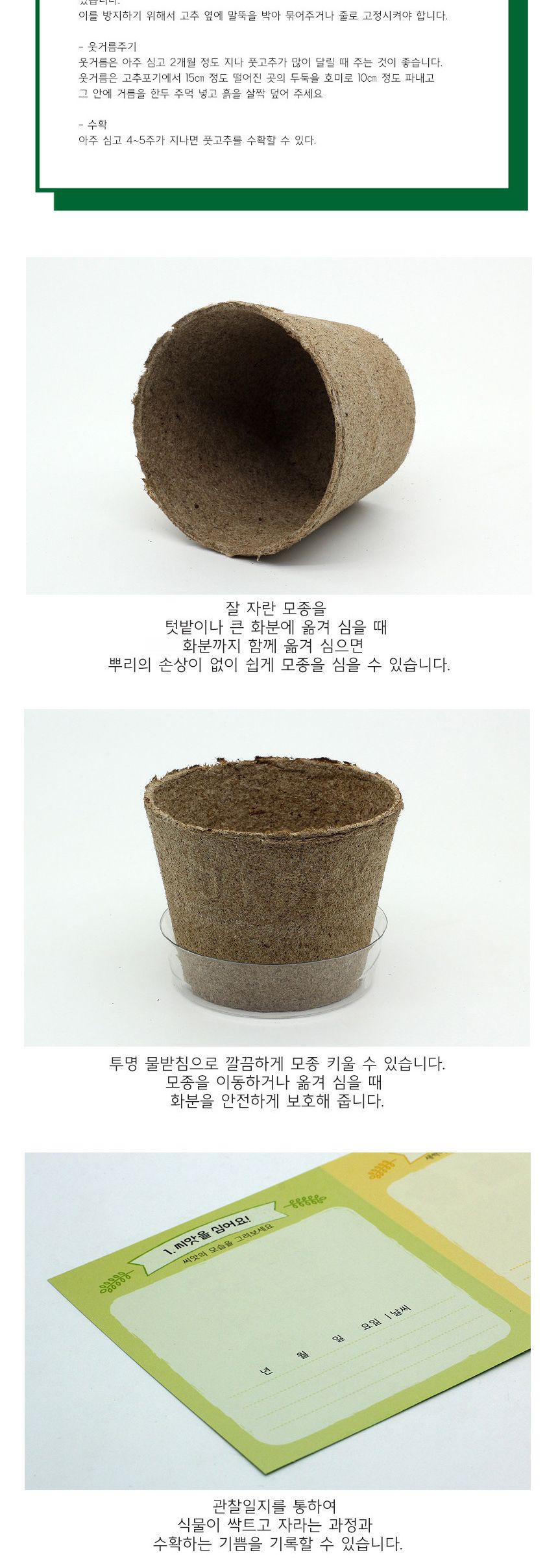 뿌리관찰 고추씨앗 모종키우기 세트/미니화분/식물인테리어/화분/거실화분/인테리어화분/거실화분인테리어/