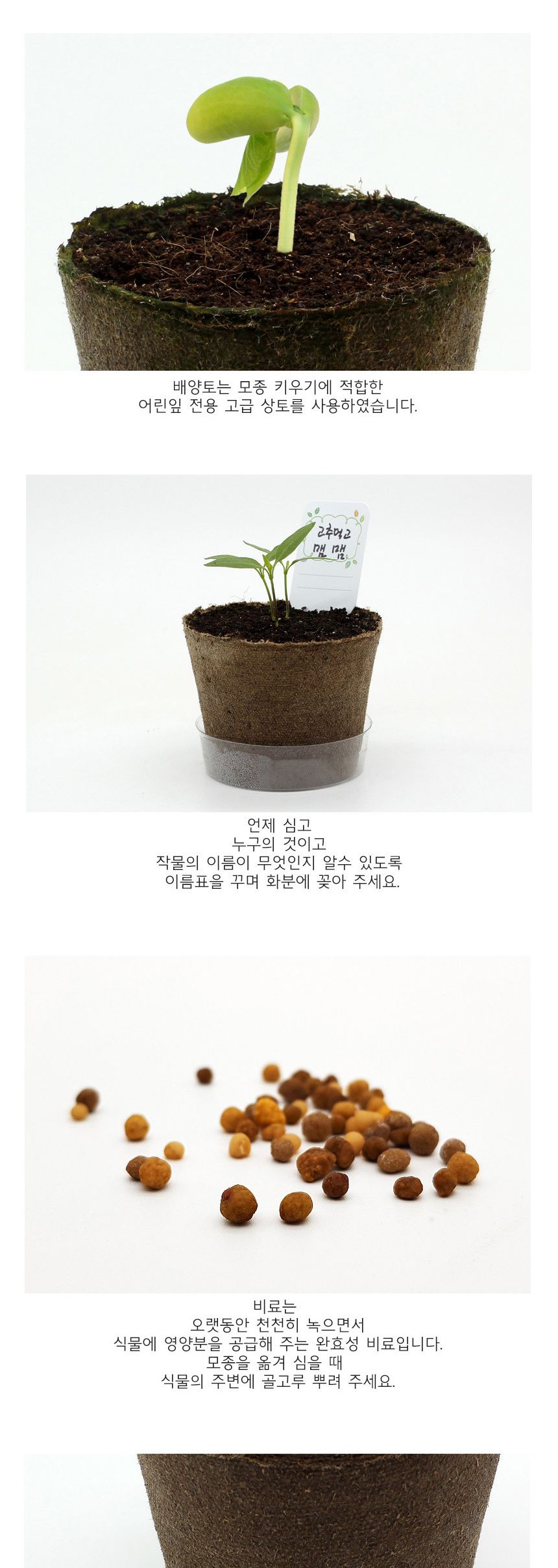 뿌리관찰 고추씨앗 모종키우기 세트/미니화분/식물인테리어/화분/거실화분/인테리어화분/거실화분인테리어/