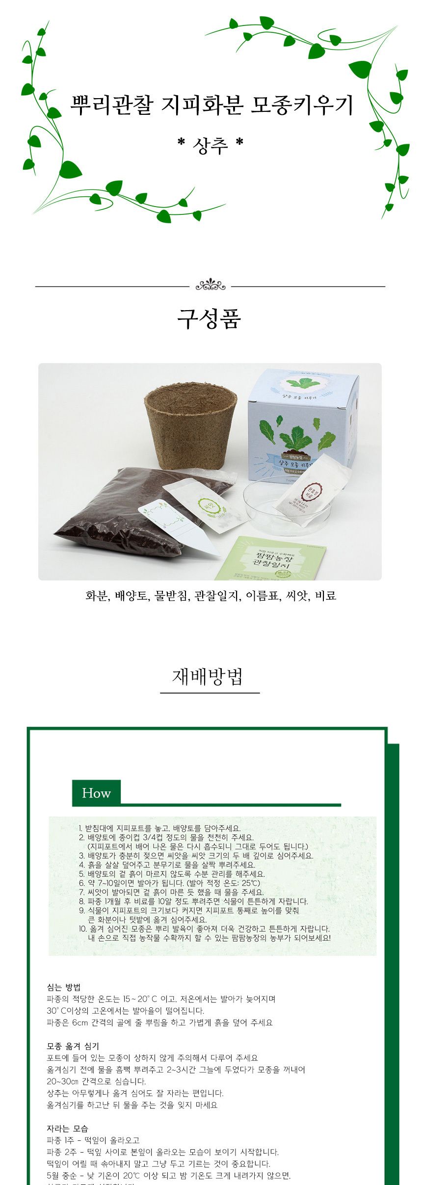 뿌리관찰 상추씨앗 모종키우기 세트/미니화분/식물인테리어/화분/거실화분/인테리어화분/거실화분인테리어/