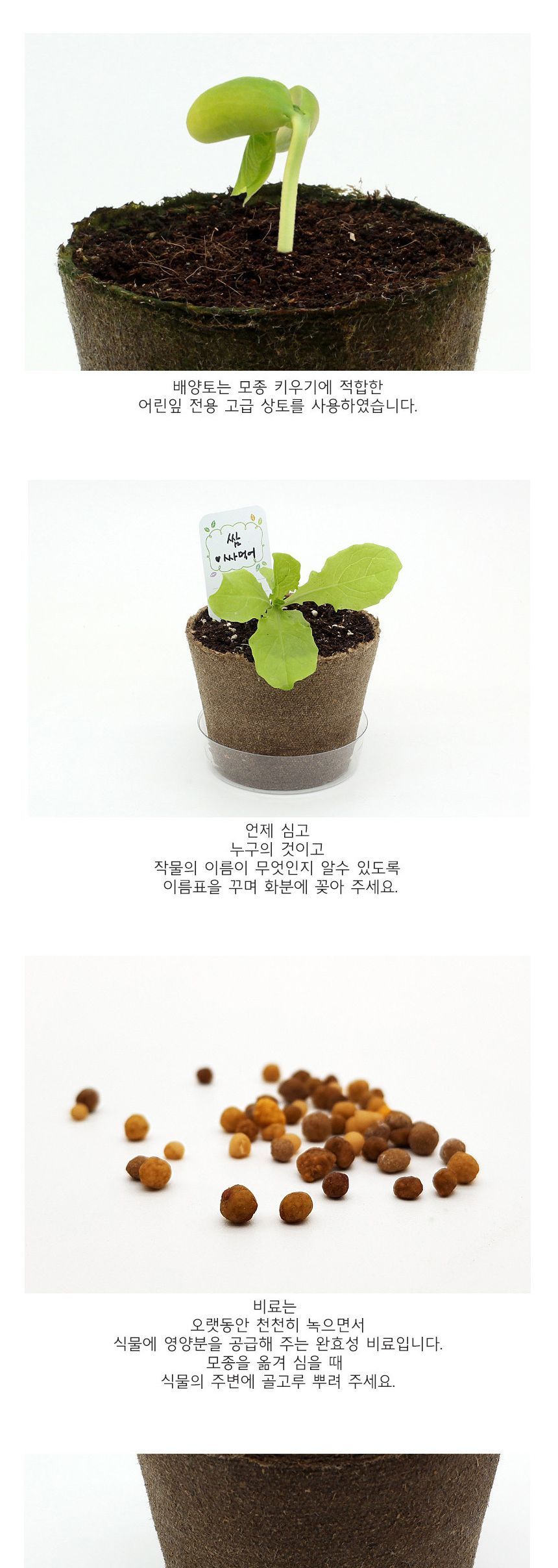 뿌리관찰 상추씨앗 모종키우기 세트/미니화분/식물인테리어/화분/거실화분/인테리어화분/거실화분인테리어/