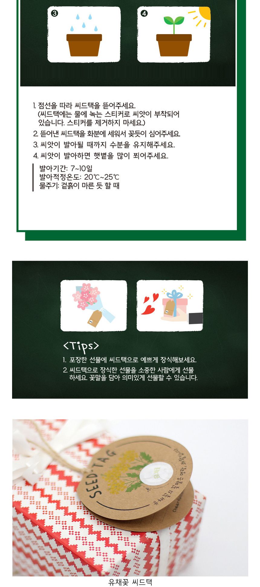 유채 패랭이 바질 토마토 선물포장 씨앗카드 세트/씨앗/씨앗도매/씨앗판촉물/홈가드닝/종자/가드닝용품/채