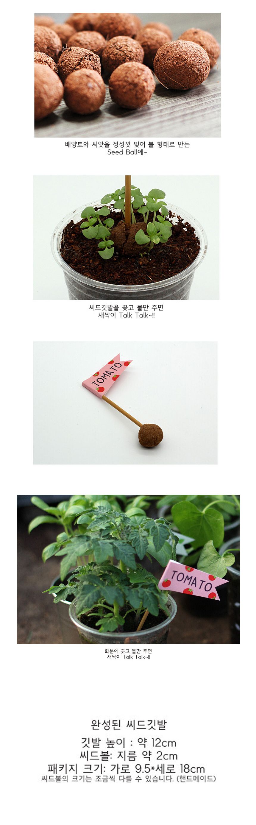 배양토 믹스 방울토마토 씨앗 3개/씨앗/씨앗도매/씨앗판촉물/홈가드닝/종자/가드닝용품/채소씨앗/씨앗판매/