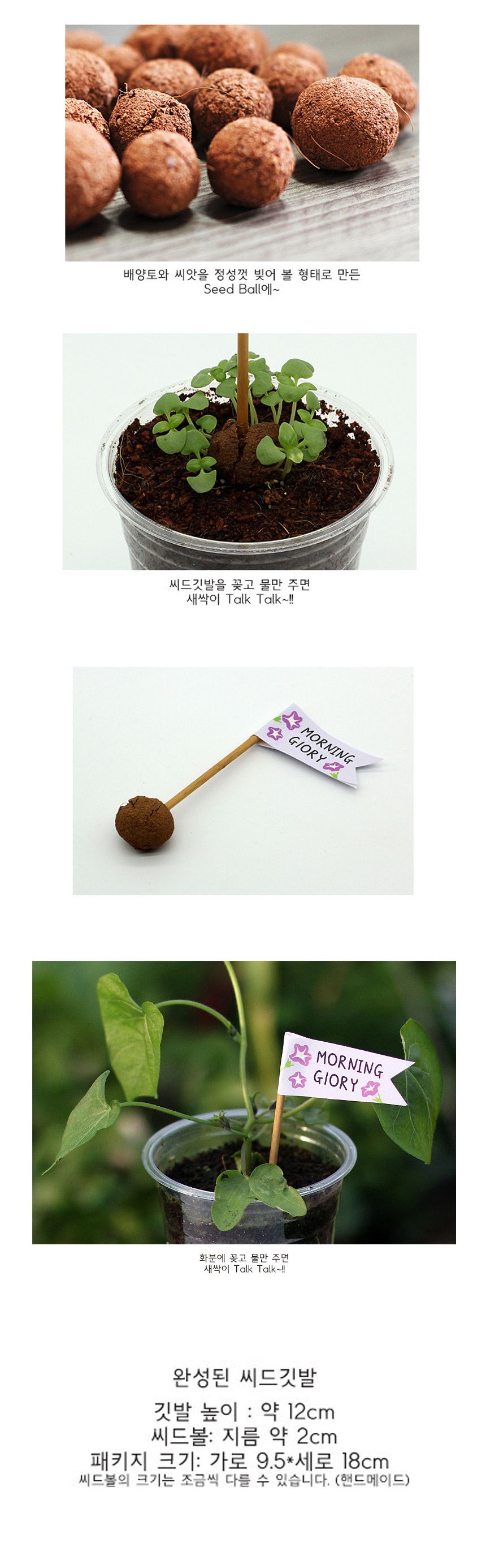 배양토 믹스 나팔꽃 씨앗 3개/씨앗/씨앗도매/씨앗판촉물/홈가드닝/종자/가드닝용품/채소씨앗/씨앗판매/반려