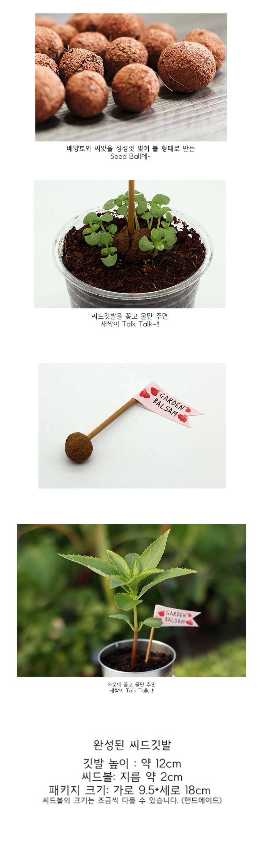 배양토 믹스 봉선화 씨앗 3개/씨앗/씨앗도매/씨앗판촉물/홈가드닝/종자/가드닝용품/채소씨앗/씨앗판매/반려