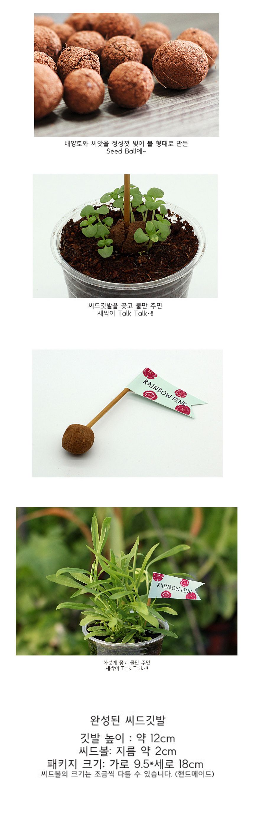 배양토 믹스 패랭이꽃 씨앗 3개/씨앗/씨앗도매/씨앗판촉물/홈가드닝/종자/가드닝용품/채소씨앗/씨앗판매/반