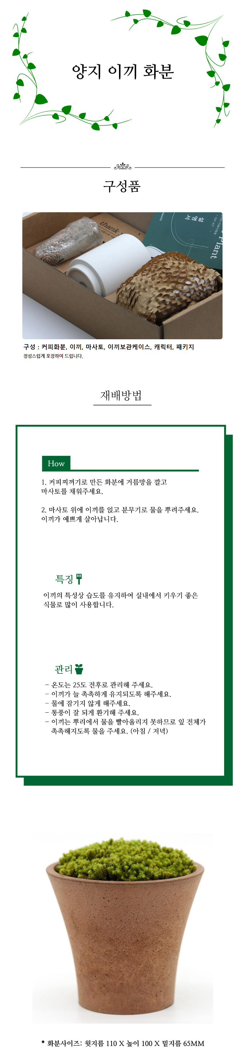실내식물 양지 이끼키우기/공기청정식물/승진화분/반려식물/키우기쉬운식물/승진선물/개업축하선물/먼지먹