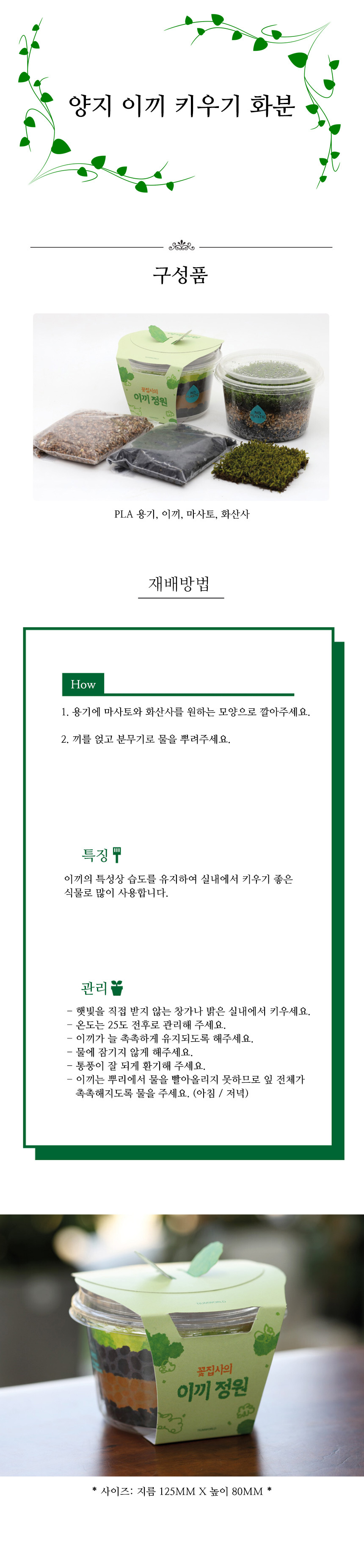 키우기쉬운 식물 이끼 화분 흙 모음 키트/미니화분/식물인테리어/화분/거실화분/인테리어화분/거실화분인테