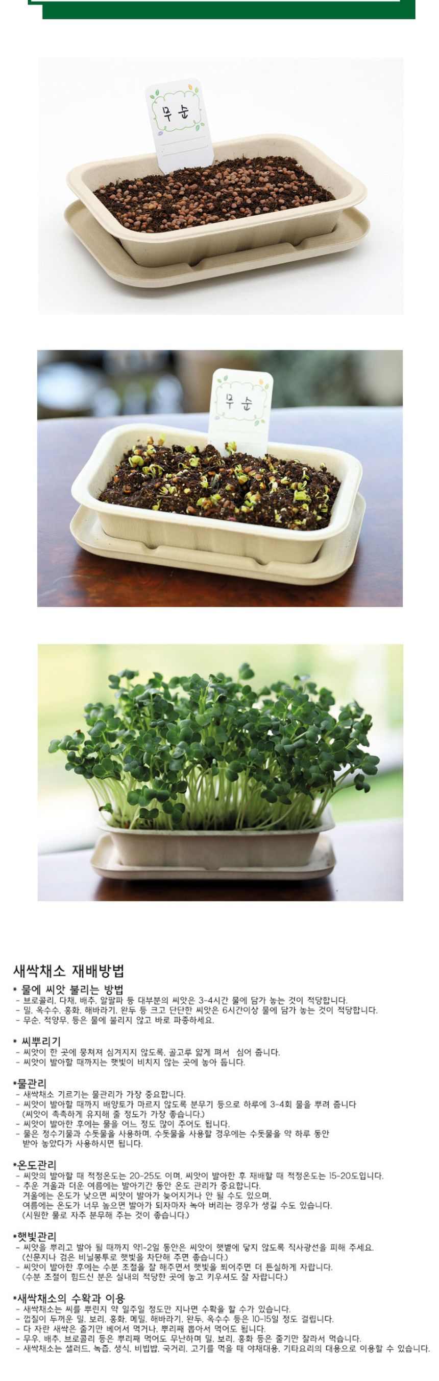 나만의 야채 텃밭 무순 재배 모음 키트/식물키우기/식물재배기/DIY키트/홈가드닝/취미키트/반려식물/실내식