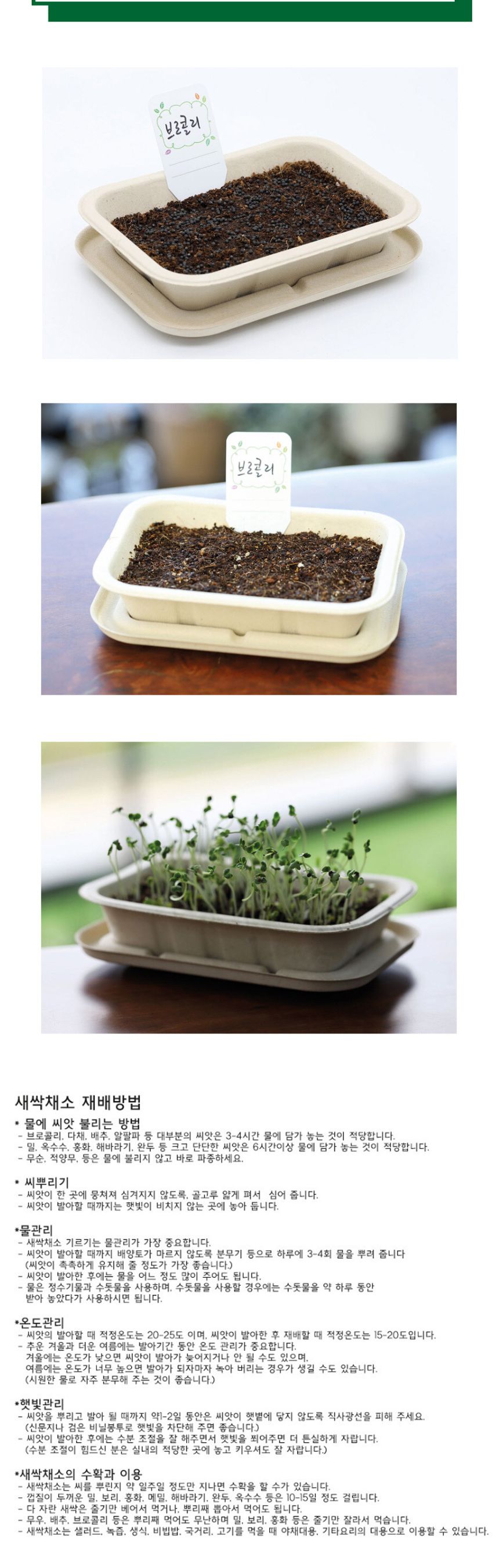 나만의 야채 텃밭 브로콜리 재배 모음 키트/식물키우기/식물재배기/DIY키트/홈가드닝/취미키트/반려식물/실