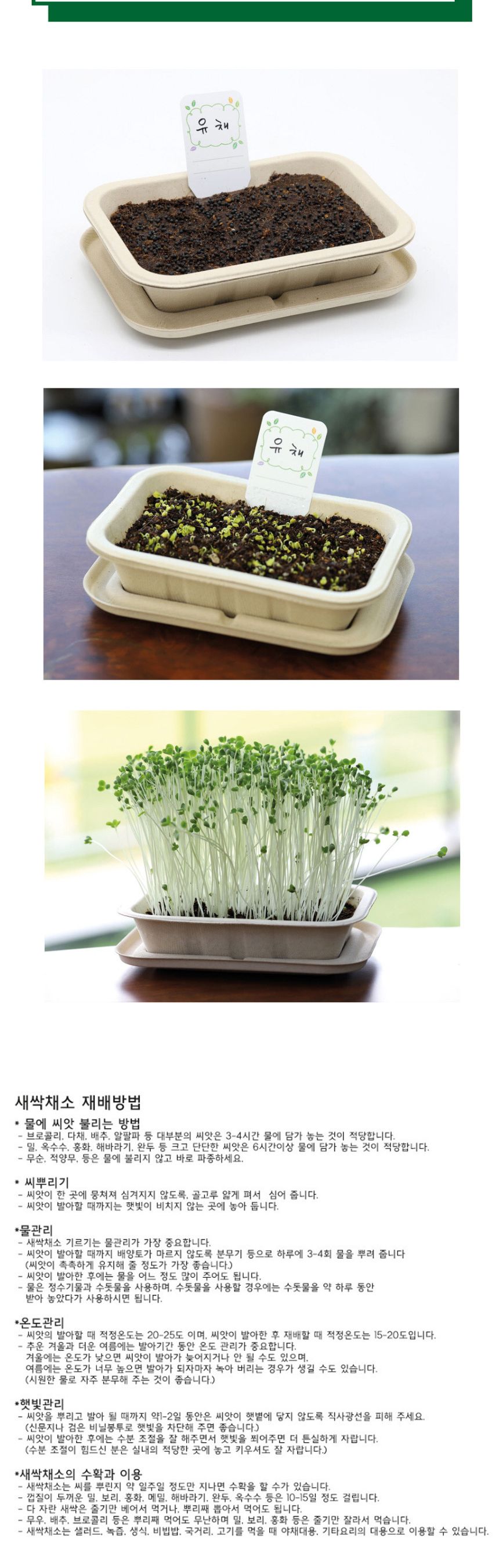나만의 야채 텃밭 유채 재배 모음 키트/식물키우기/식물재배기/DIY키트/홈가드닝/취미키트/반려식물/실내식