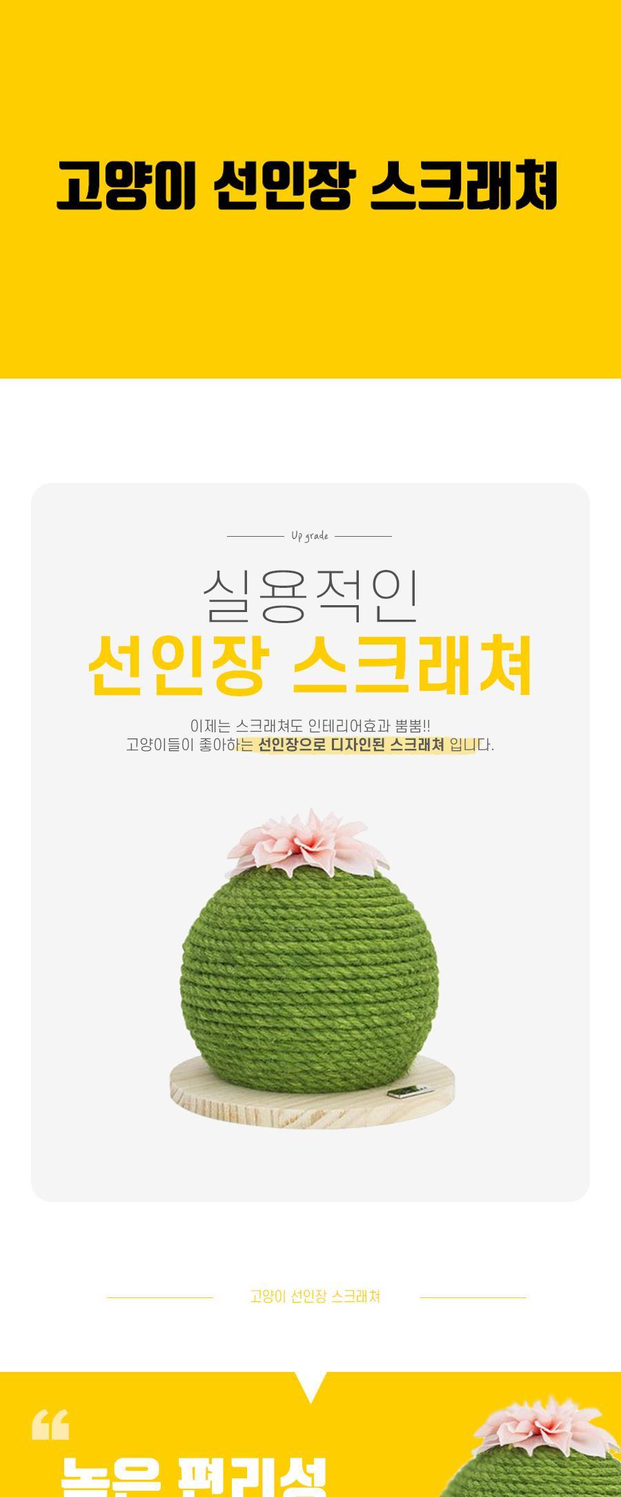 고양이 선인장 스크래쳐/스크래처/반려묘스크래쳐/반려묘스크래처/고양이용품/고양이장난감/고양이발톱관리