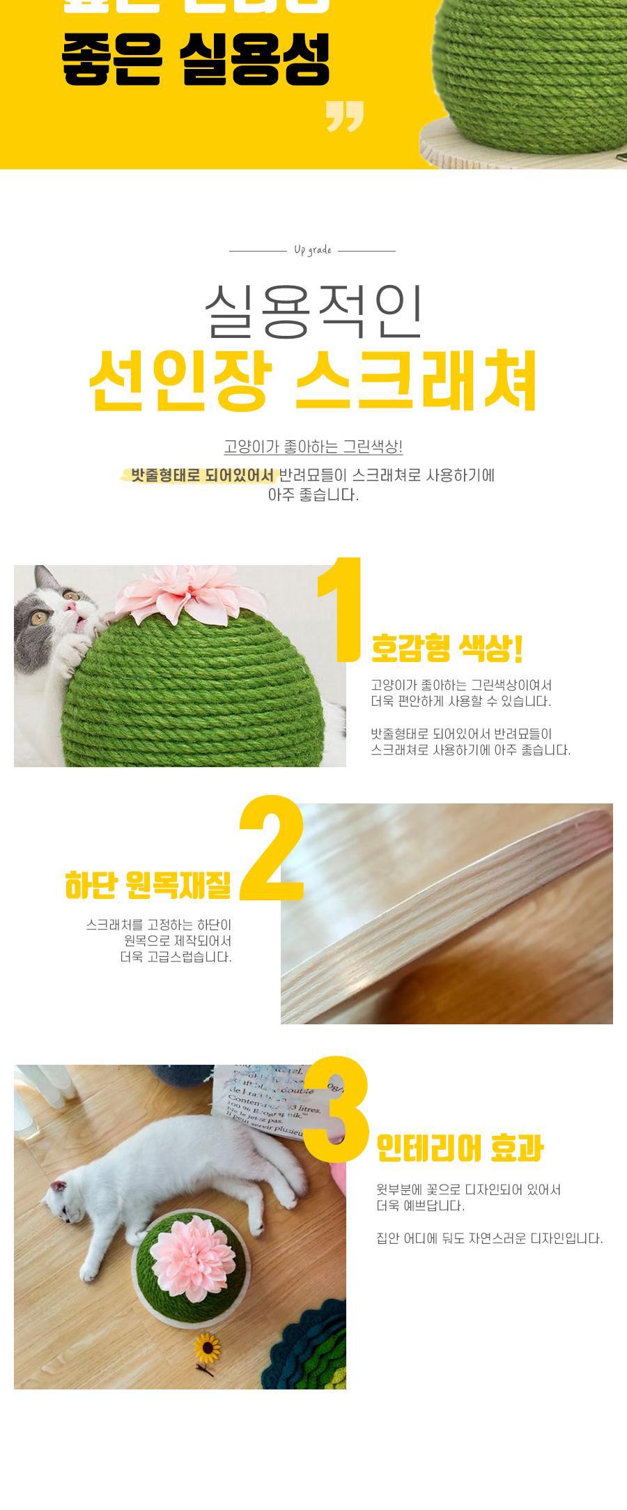 고양이 선인장 스크래쳐/스크래처/반려묘스크래쳐/반려묘스크래처/고양이용품/고양이장난감/고양이발톱관리