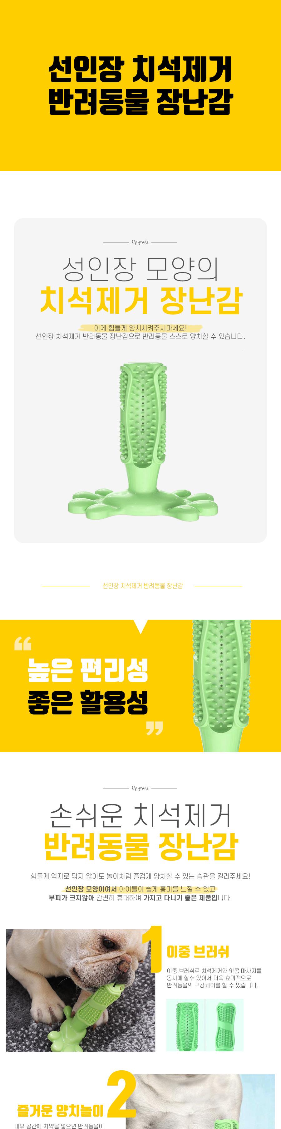 선인장 치석제거 반려동물 장난감/강아지장난감/고양이장난감/반려견장난감/반려묘장난감/반려동물장난감/