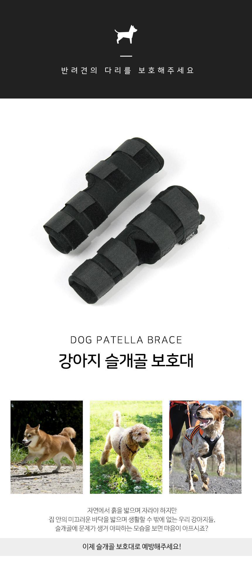 강아지 슬개골 보호대/슬개골보호대/강아지슬개골보호대/강아지다리보호대/애견슬개골보호대/애견다리보호