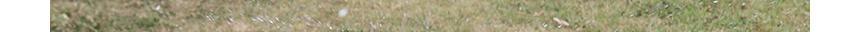 툴콘)스파이크 스프링쿨러-대형 (최대 분사거리 13M) TYM-8105F 잔디스프링클러 텃밭스프링쿨러 회전스프링쿨러 농업용스프링클러 물분사기 물뿌리개 정원용품 비료살포기 자동분무기 스프링쿨러