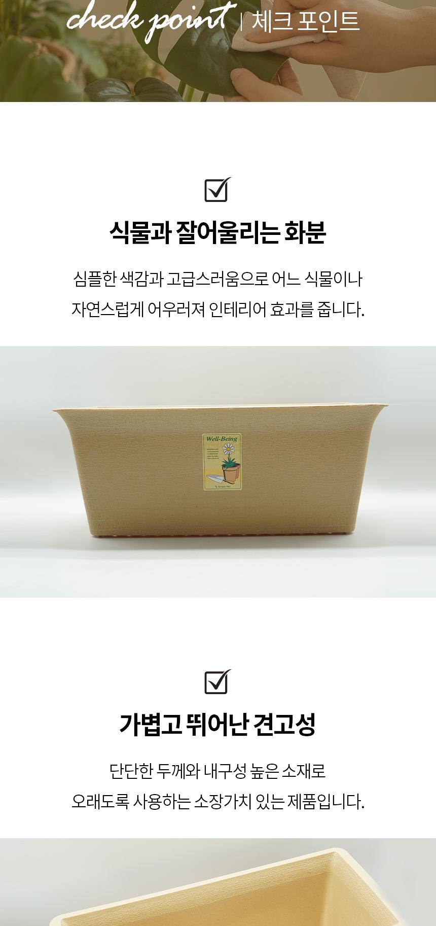 플라스틱 사각 화분 베이지 2호/화분/토분/가벼운화분/화분용기/원예용품/정원용품/분갈이화분/홈가드닝/식